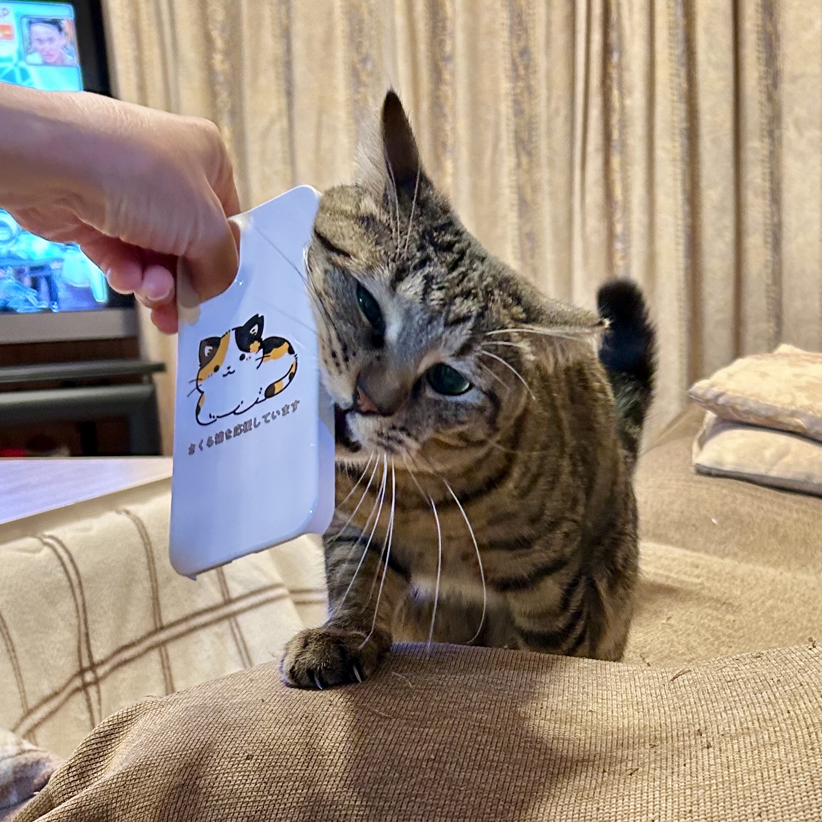 支援の仕方が新しくなりました！